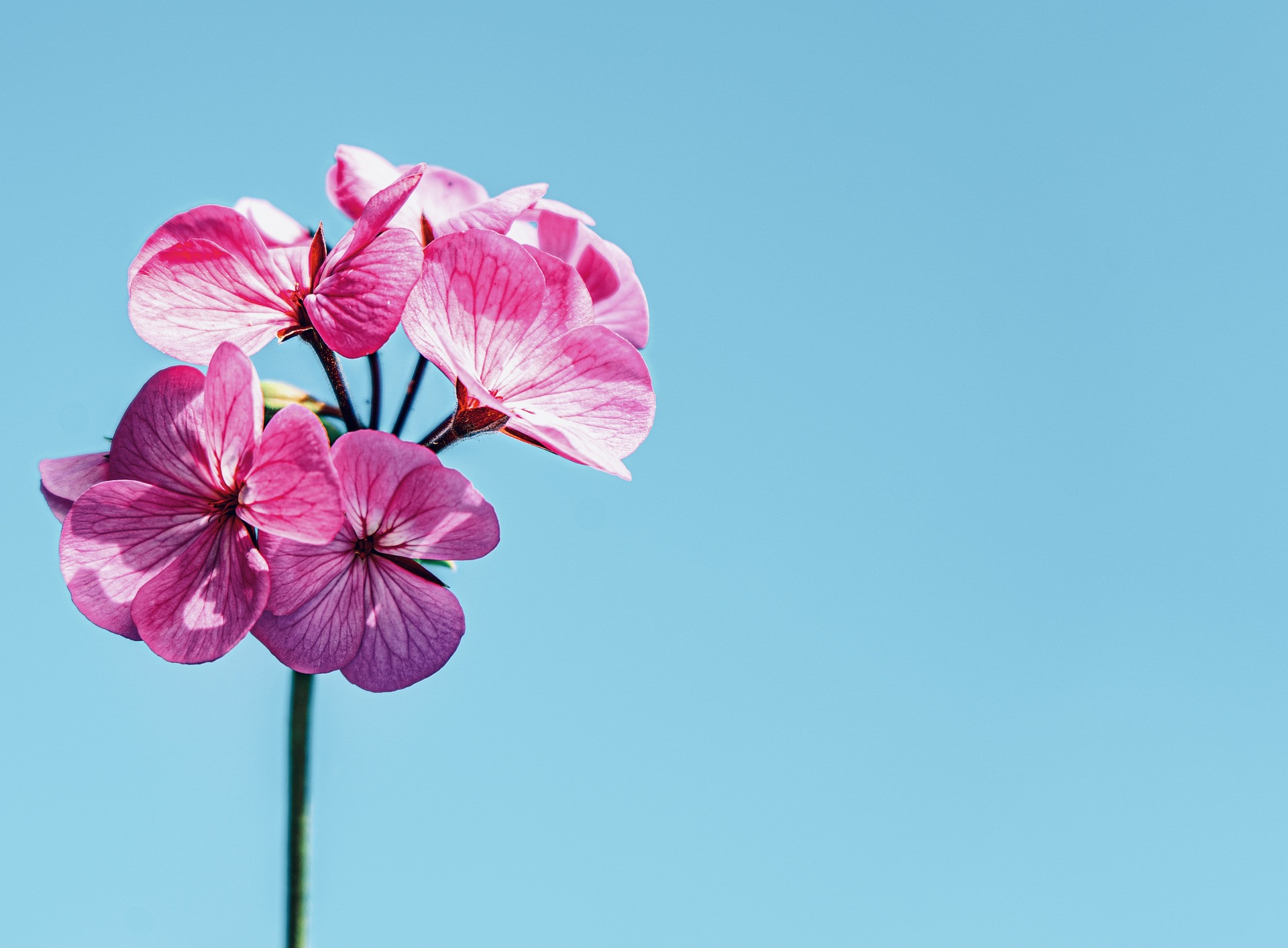 Property Gardening & Landscaping
